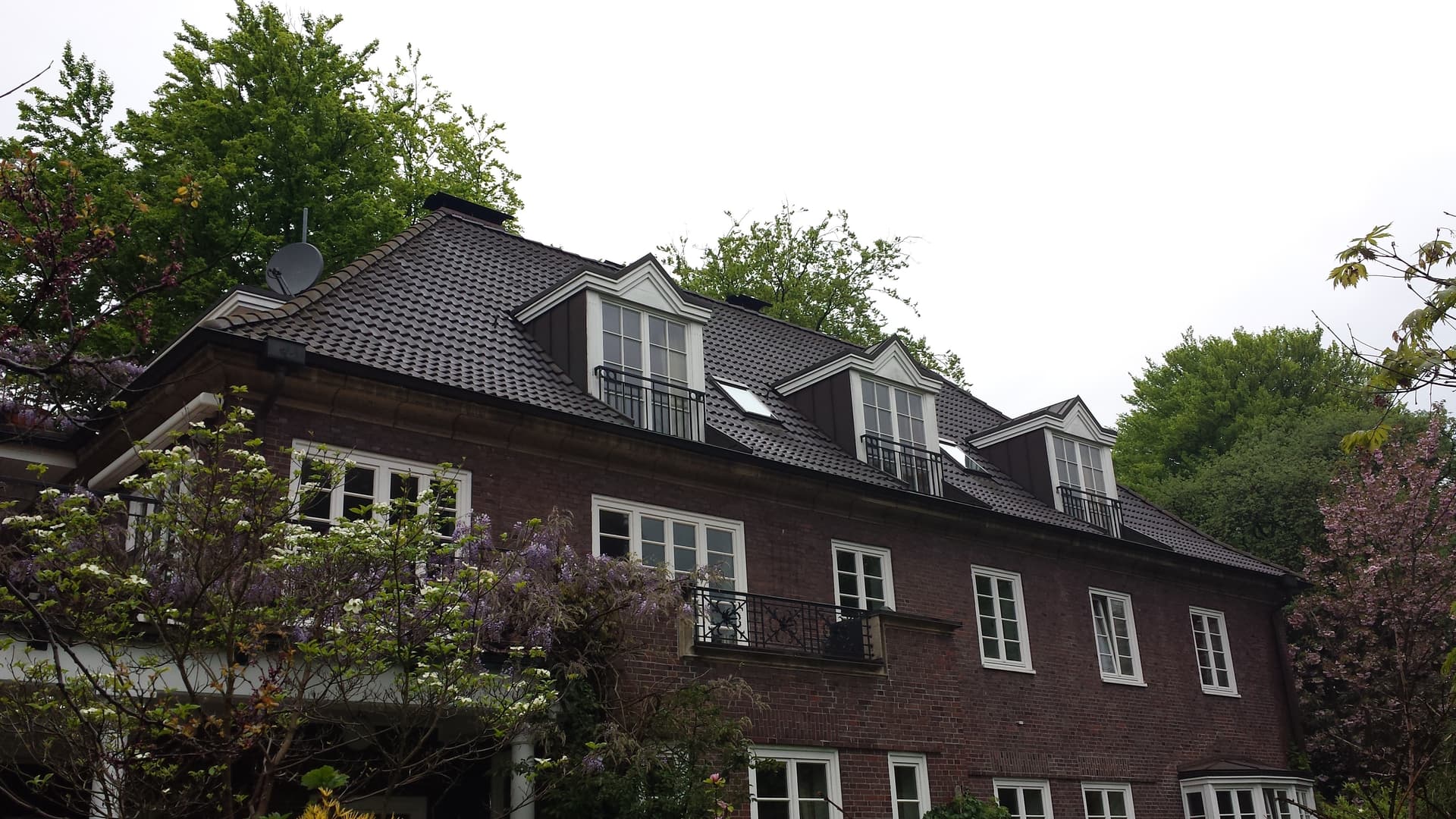 Die-Dachsanierer-8
