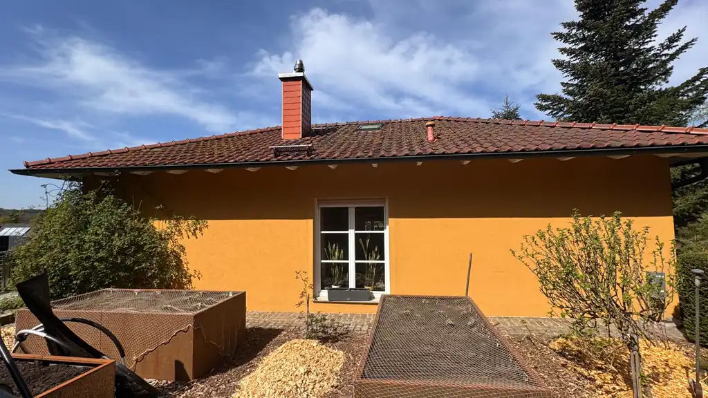 Veralgte Fassade mit Grünbelag vor der Reinigung